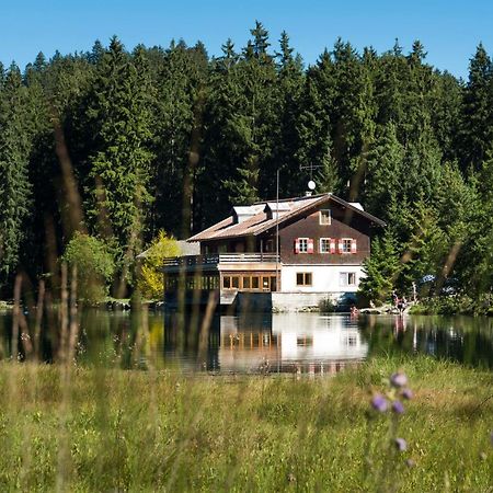 شقة Haus Schreieck Klaudia Höfen المظهر الخارجي الصورة